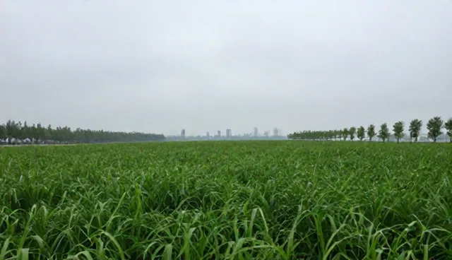 运维效率提升的关键因素:资源分配策略